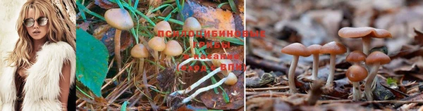 гидропоника Абдулино