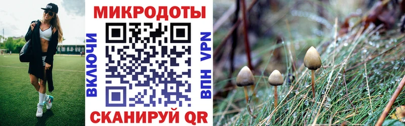 наркота  Черемхово  Псилоцибиновые грибы Psilocybine cubensis 
